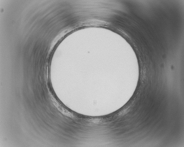 X0000051261130200507152208