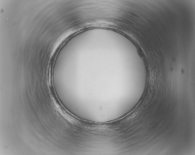 X0000051261131200507152208