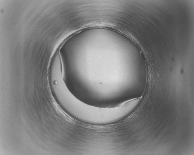 X0000051261132200507152209