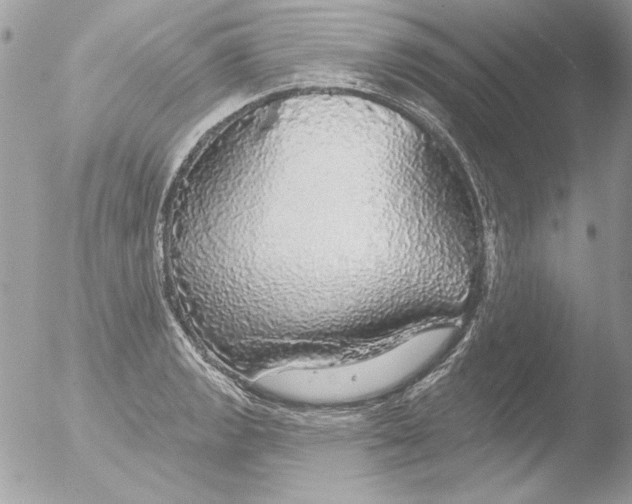 X0000051261133200507152209