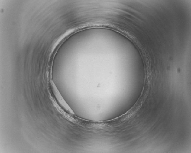 X0000051261134200507152209