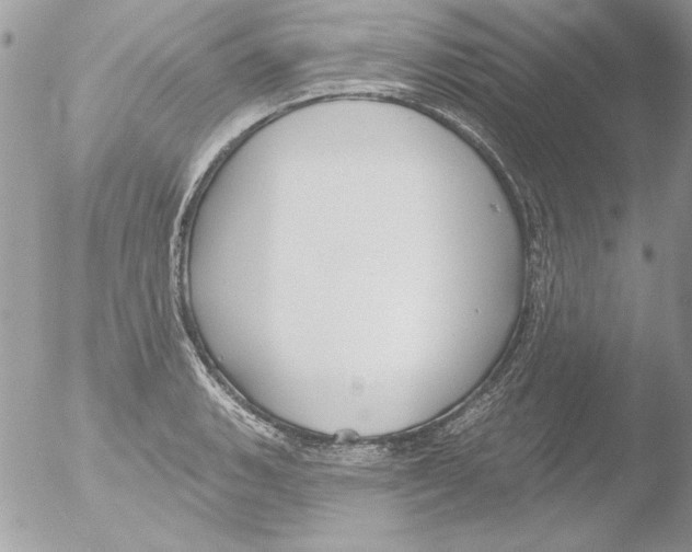 X0000051261135200507152209