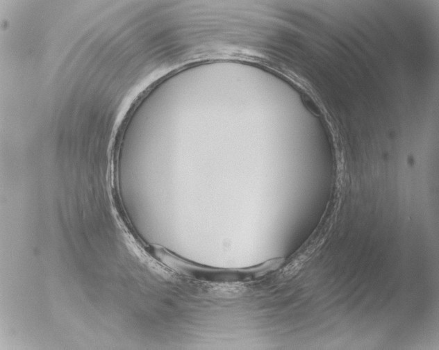 X0000051261136200507152209