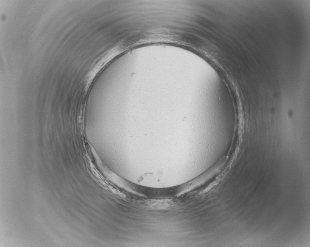 X0000051261137200507152209