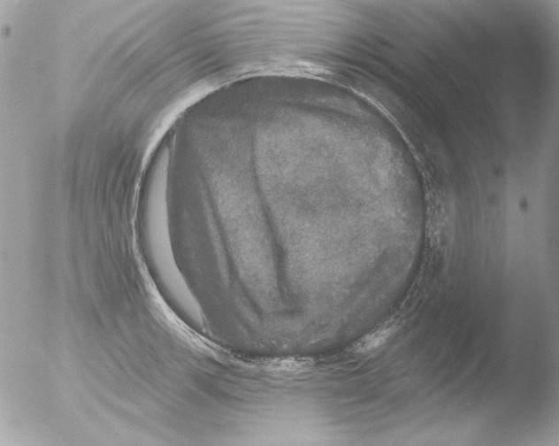 X0000051261139200507152209