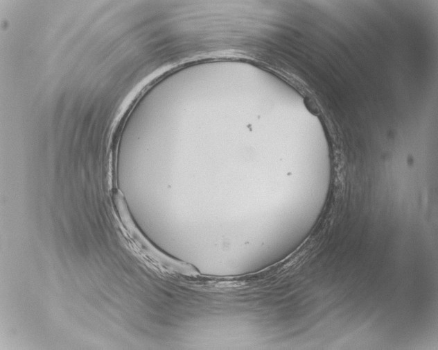 X0000051261140200507152209