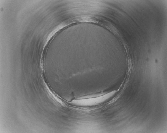 X0000051261141200507152209