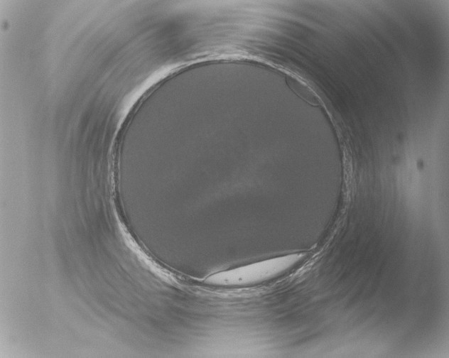 X0000051261142200507152209