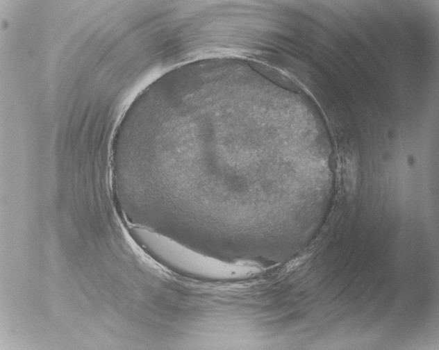 X0000051261143200507152209