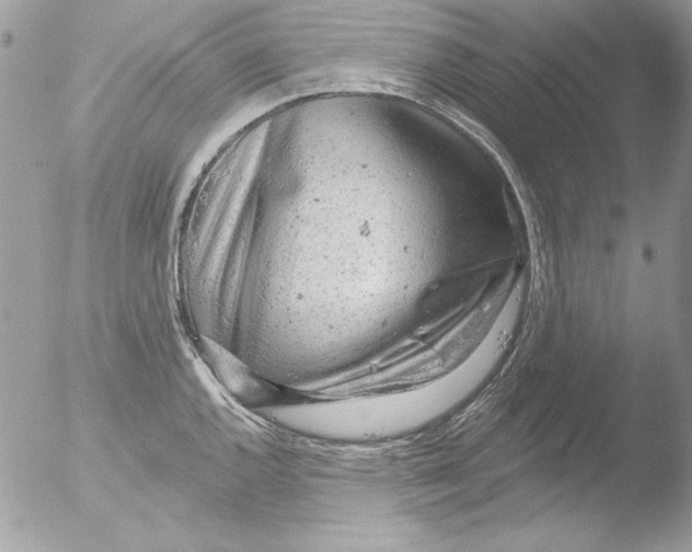 X0000051261144200507152209