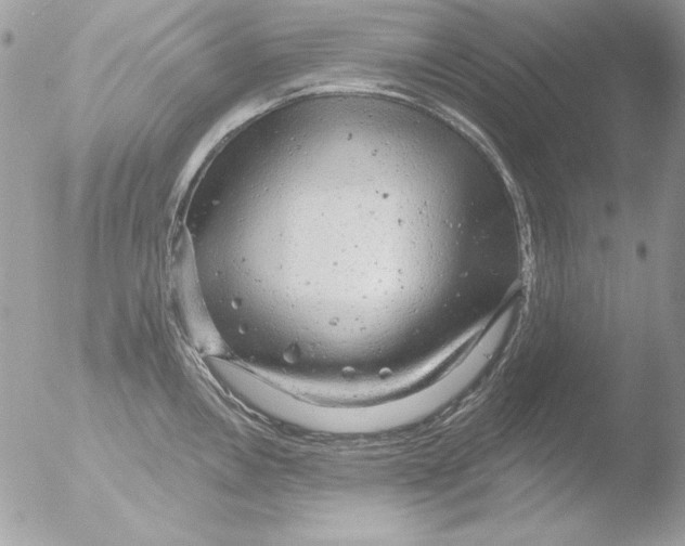 X0000051261146200507152209