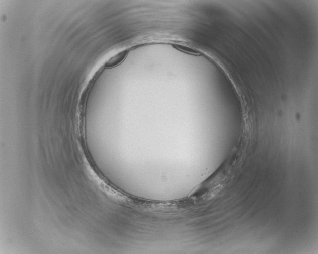 X0000051261147200507152209