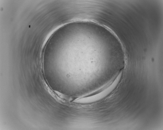 X0000051261148200507152209