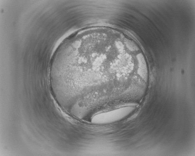 X0000051261149200507152209