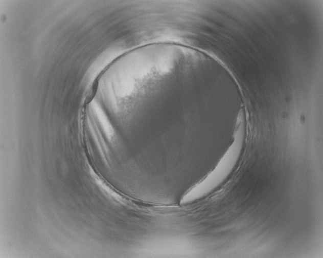 X0000051261151200507152209