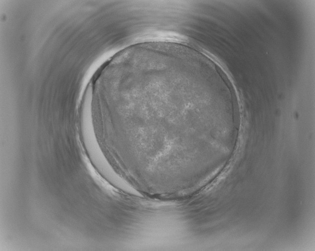 X0000051261152200507152209