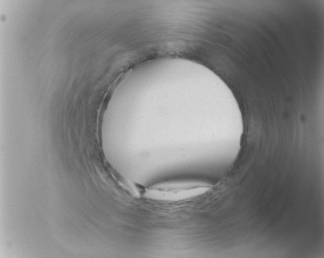 X0000051261153200507152208