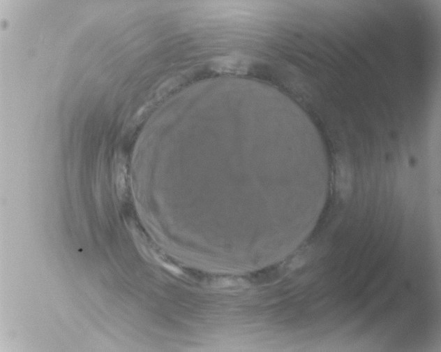 X0000051261154200507152208