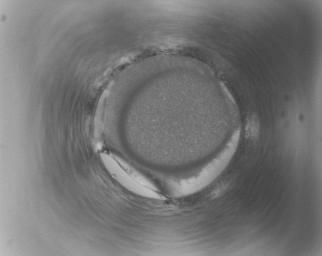 X0000051261156200507152208