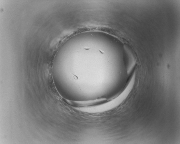 X0000051261157200507152208