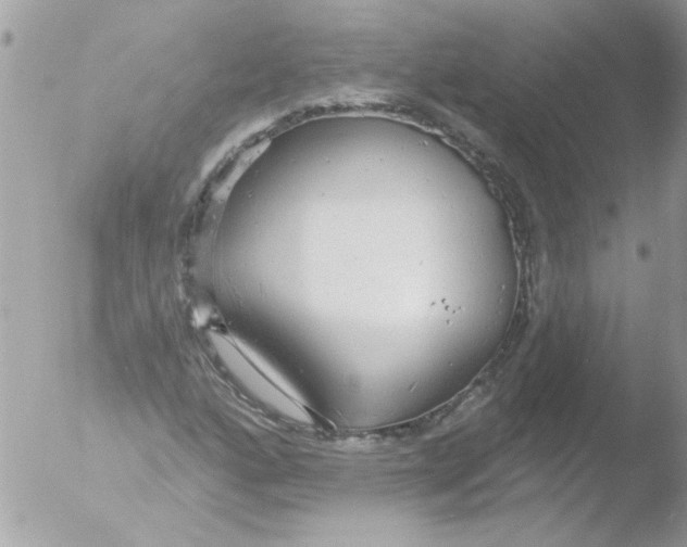 X0000051261160200507152208