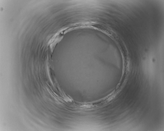 X0000051261161200507152208