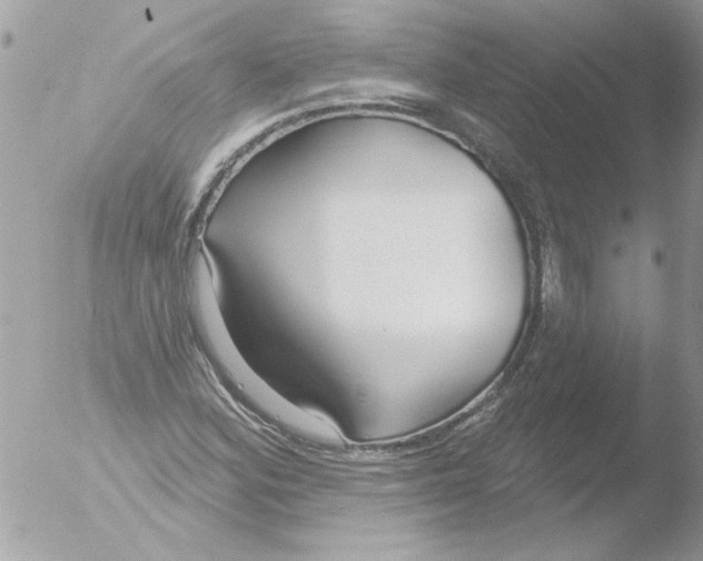 X0000051261164200507152208