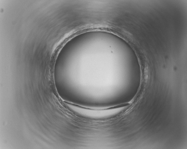 X0000051261165200507152208