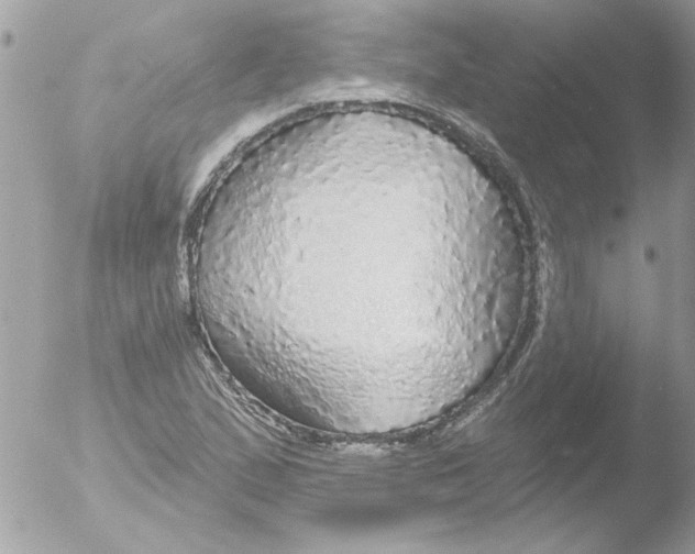 X0000051261167200507152208