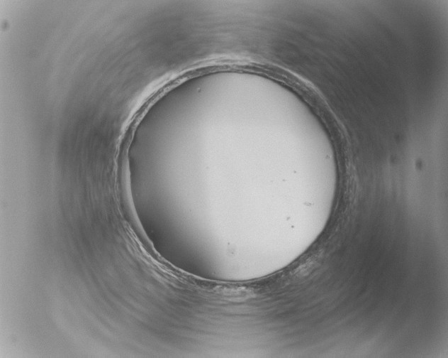 X0000051261168200507152208