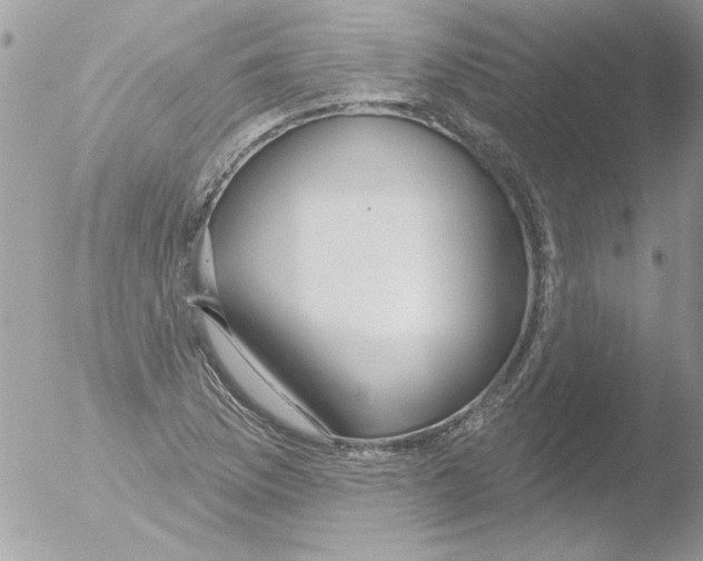 X0000051261169200507152208