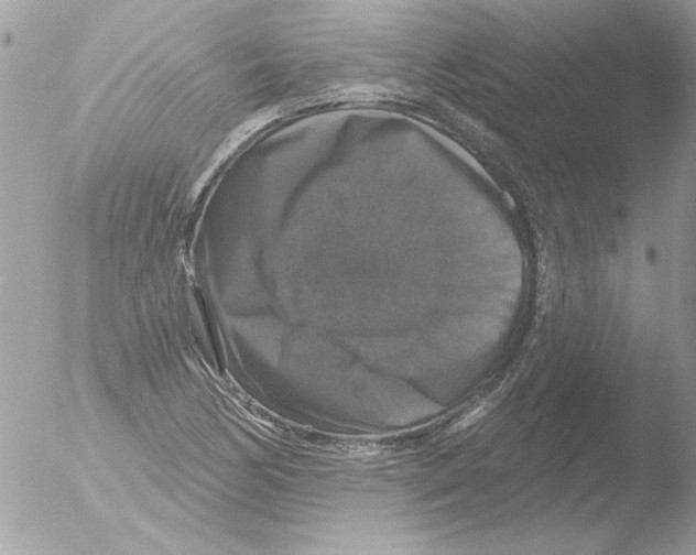 X0000051261170200507152208