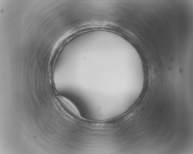 X0000051261172200507152208