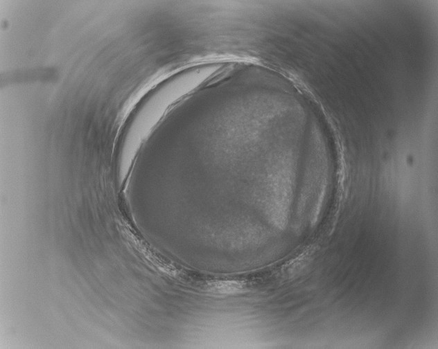 X0000051261173200507152208