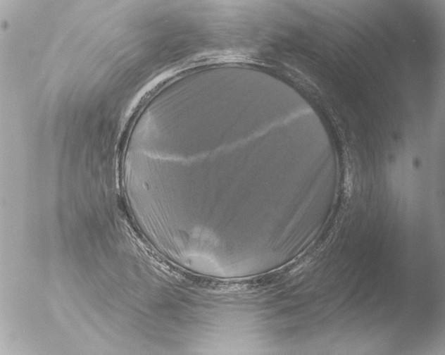 X0000051261174200507152208