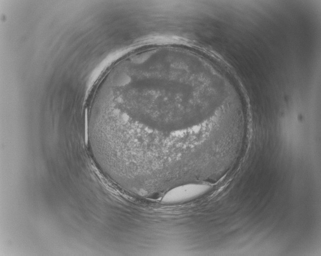 X0000051261175200507152208