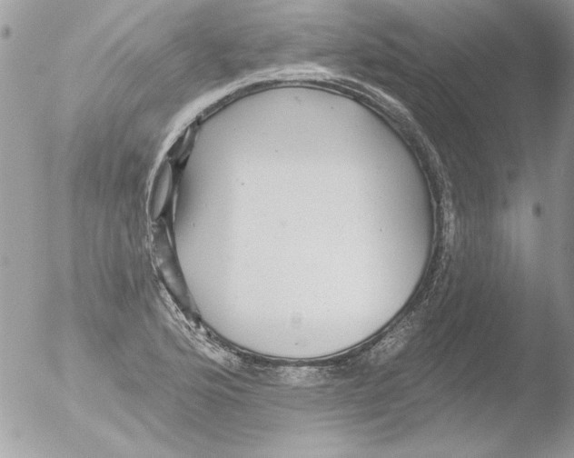 X0000051261176200507152208