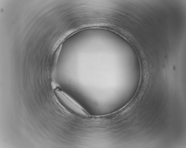 X0000051261177200507152208