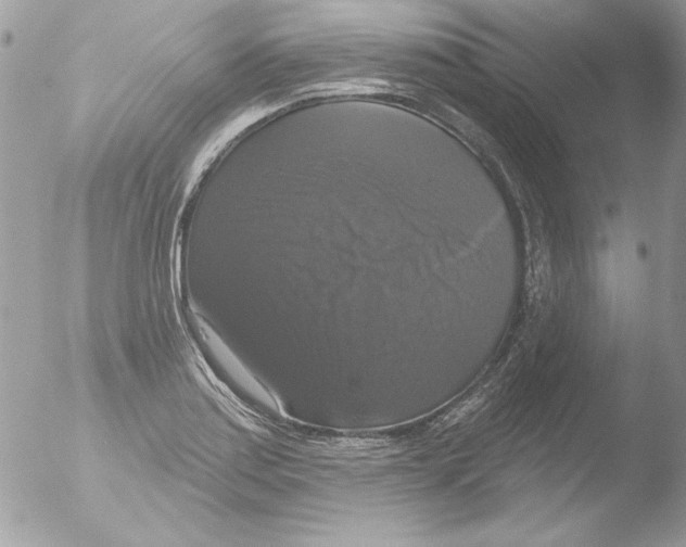 X0000051261179200507152208