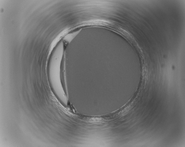 X0000051261180200507152208