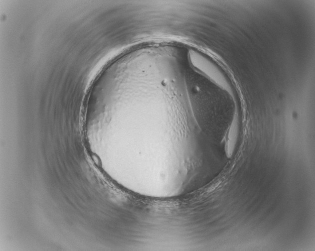 X0000051261183200507152208