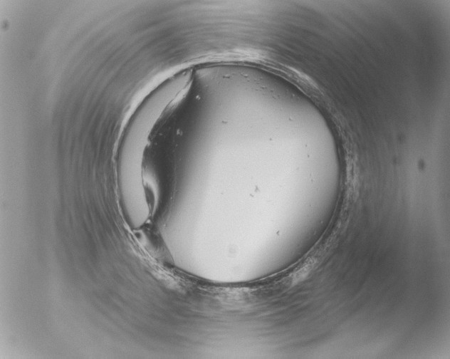 X0000051261184200507152208