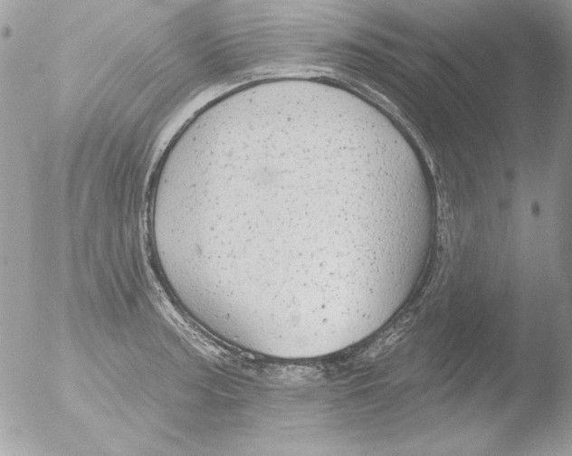 X0000051261187200507152207