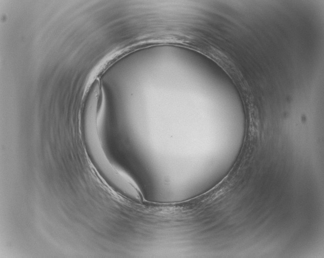 X0000051261188200507152207