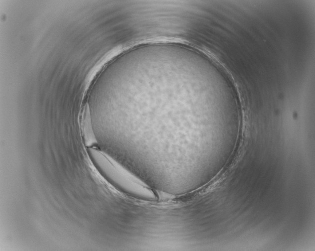 X0000051261189200507152207