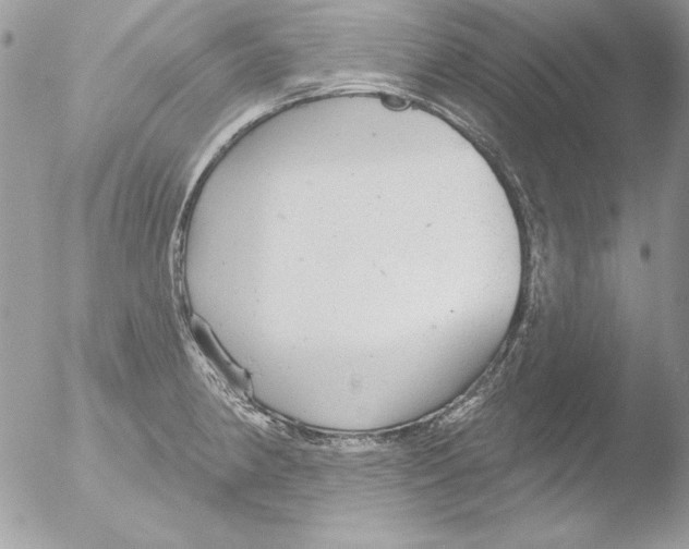 X0000051261190200507152207