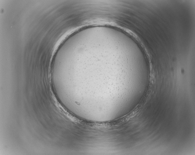 X0000051261191200507152207