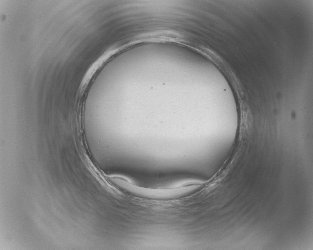 X0000051261196200507152207