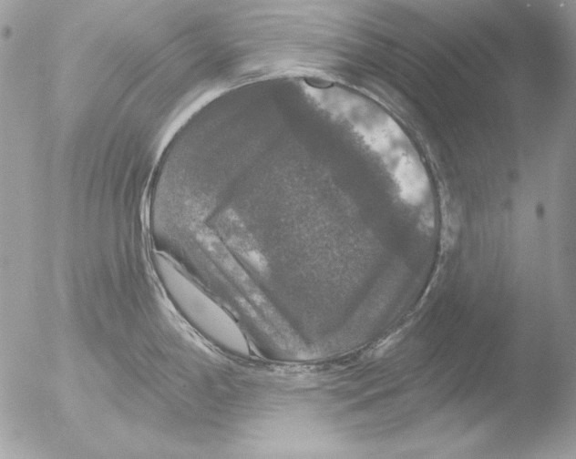 X0000051261198200507152207