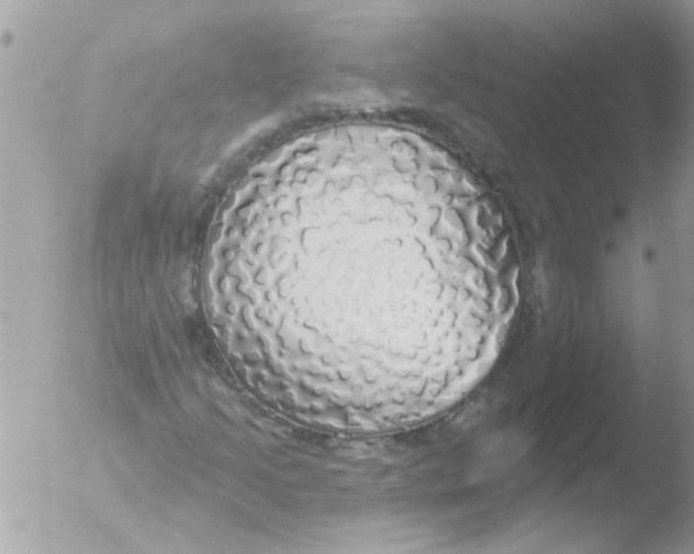 X0000051261205200507152207